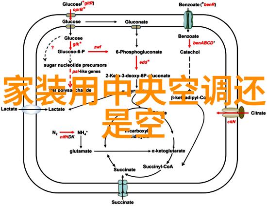 耐声厨卫电器引领厨房与卫浴空间的科技革命