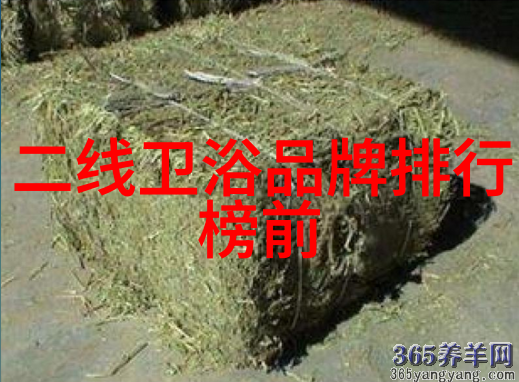 中央空调品牌选择指南找出最佳解决方案高效节能的中央空调品牌分析