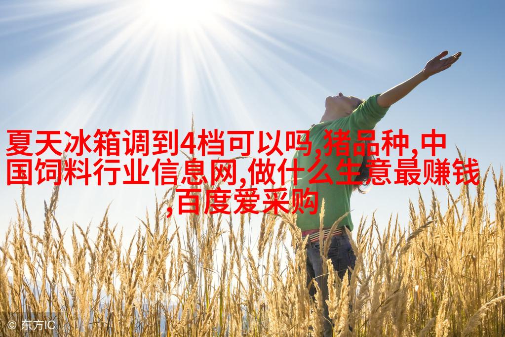 多功能家具解决方案